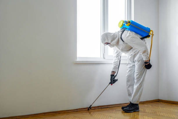 Best Pest Prevention Services  in Fountain Valley, CA