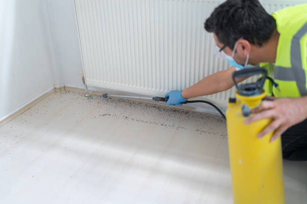 Best Residential Pest Control  in Fountain Valley, CA